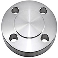 ASTM A182 SS Blind Flanges ASTM A182 SS Blind Flanges