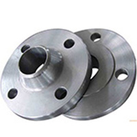 ASTM A182 SS Forged Flanges ASTM A182 SS Forged Flanges
