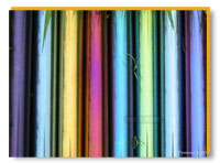 446  Stainless Steel Colour Coated Pipe/Tube  446  Stainless Steel Colour Coated Pipe/Tube